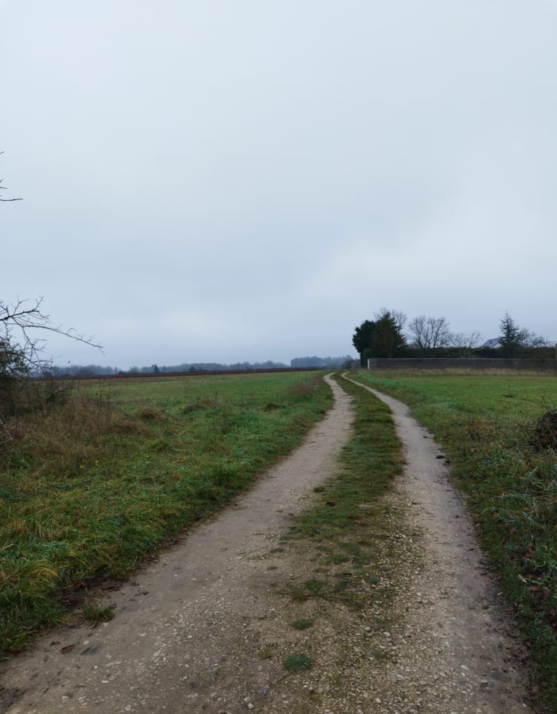 Balade de Greux au Ormeaux - Montlouis-sur-Loire