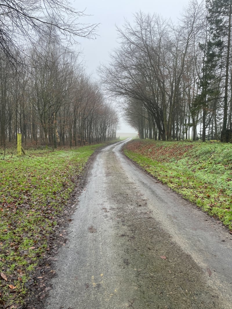 Chemins pédestres d’Humbercamps au départ de Saint Amand - Saint-Amand