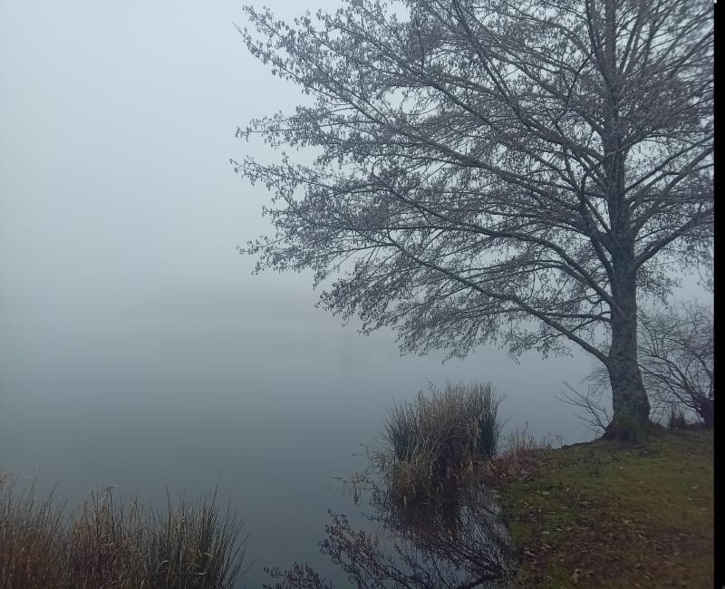Cieux Sentier des hêtres - Cieux