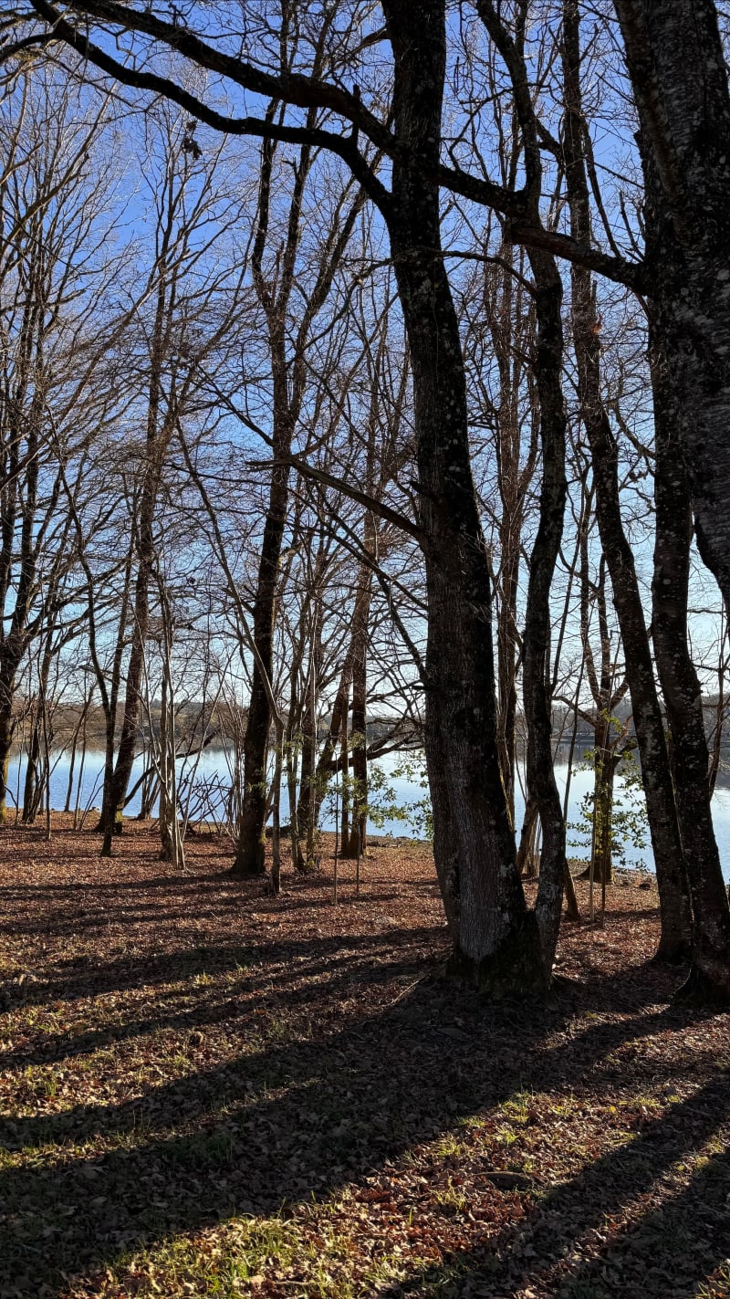 Sentier du tour du lac, entre terre et eau - Villefranche-de-Panat
