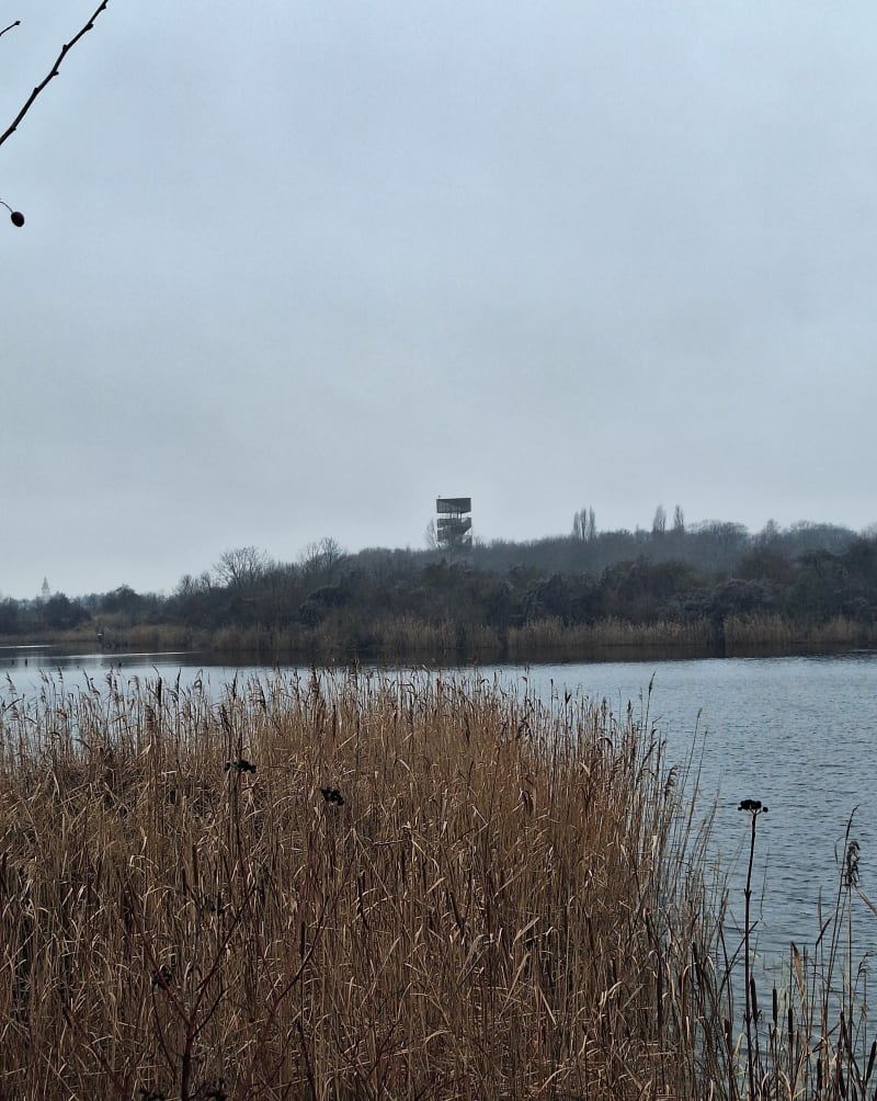 Szachty mpk - Poznań