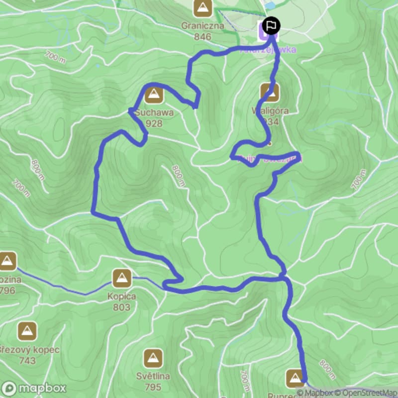 Trudna trasa 10 km: Andrzejówka do Ruprechtickiego Szpiczaka i z powrotem - Rybnica Leśna