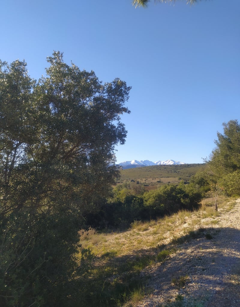 Causse de Ste Colombe de la Commanderie - Sainte-Colombe-de-la-Commanderie