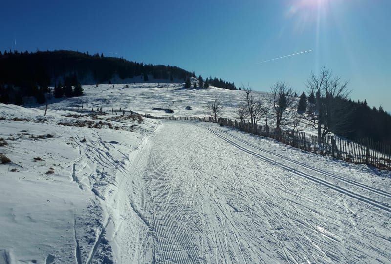 Du Markstein au Grand Ballon, de long en large ! - Ranspach