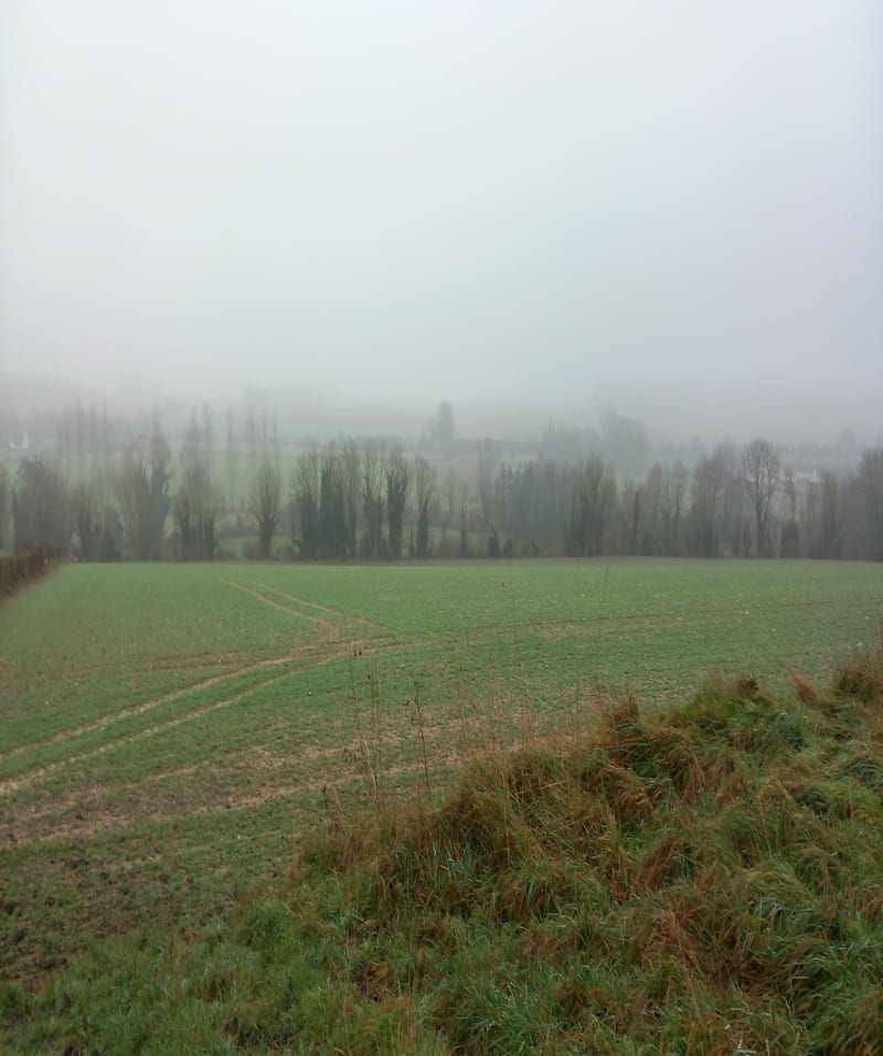 Neifmoulin par Yves et Vieux Moulin - Saint-Riquier