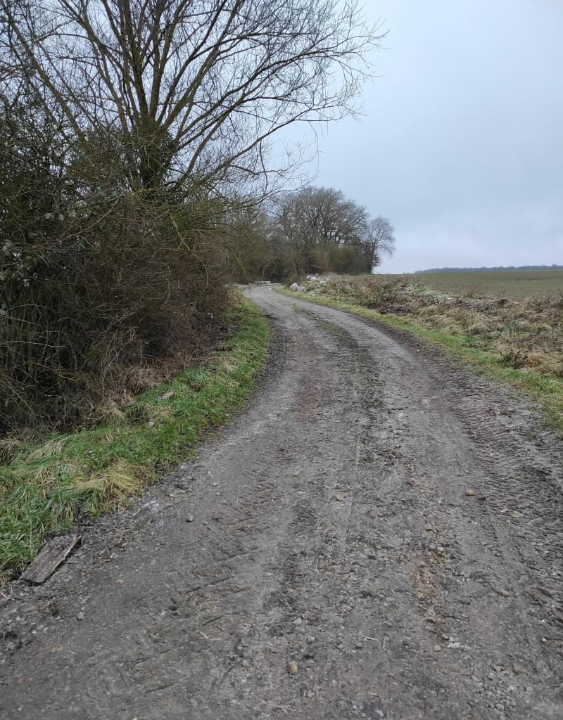 Boucle hivernale en forêt de Blettange par Guélange - Rurange-lès-Thionville