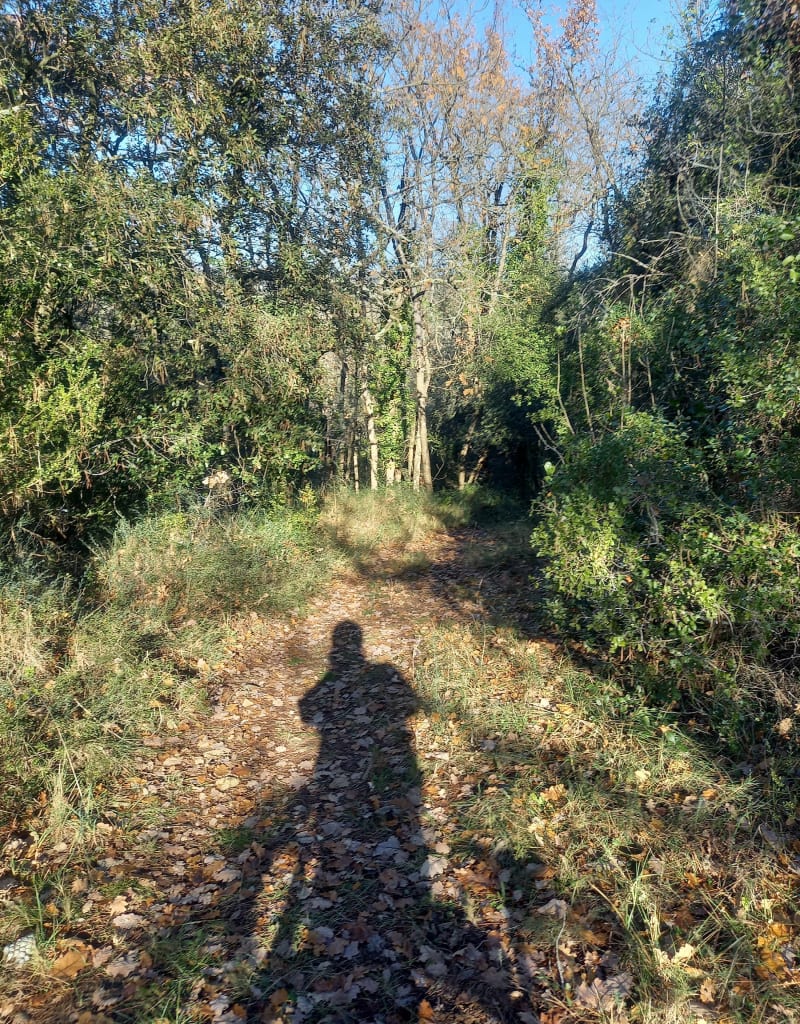 Boucle Raissac/Montolieu - Raissac-sur-Lampy