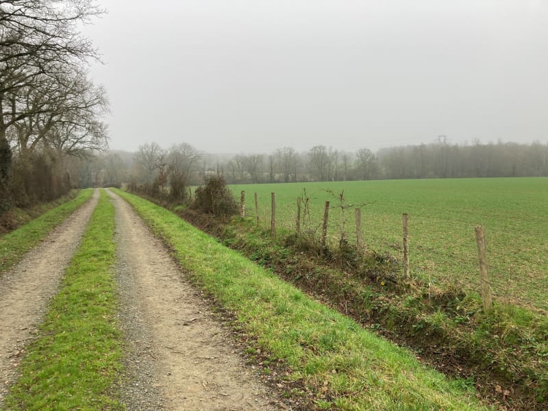 Autour de la Marronnière - La Roche-sur-Yon