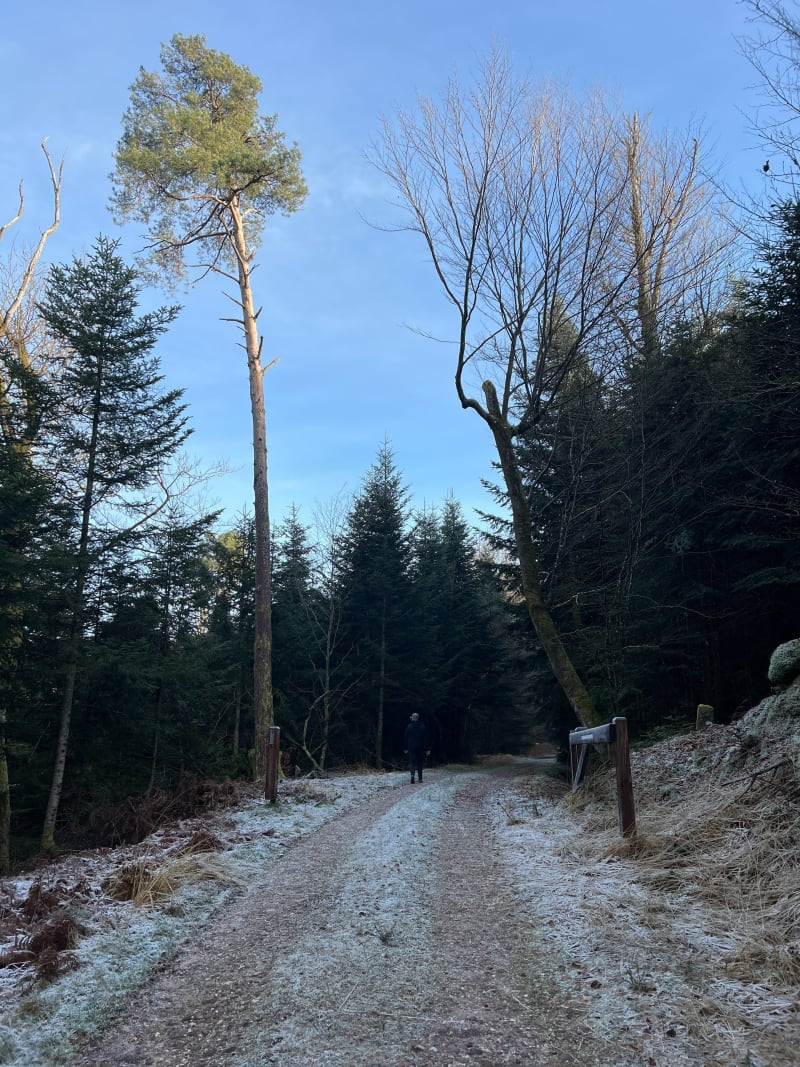 Balade au alentour de la forêt de Lanol - Hadol
