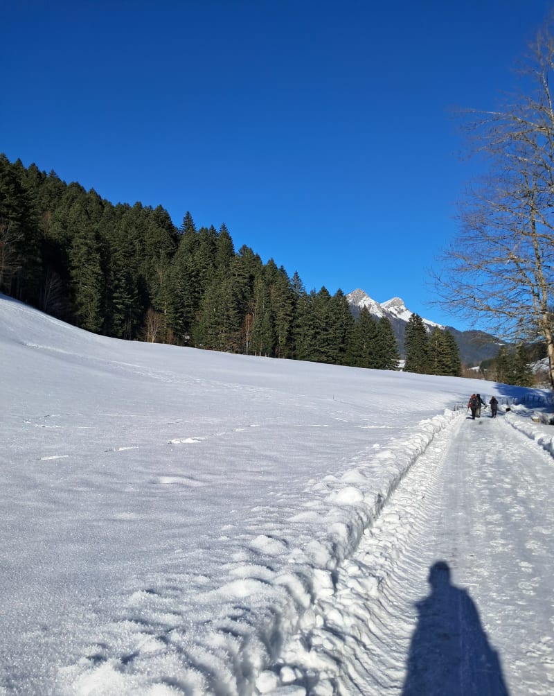 Rando dans les Bauges depuis Aillon-le-Jeune - Aillon-le-Jeune
