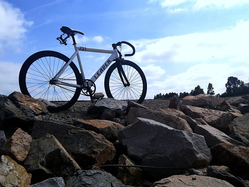 Tour de l'Île de Ré à vélo - La Flotte
