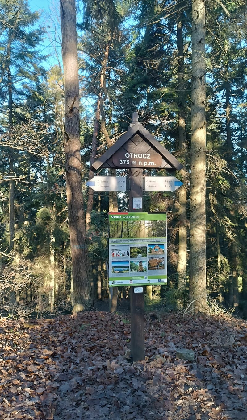 Spacer na Otrocz - Niestachów