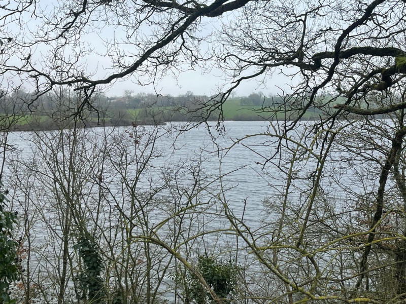 Jolie balade par le Parc Ribou et La Moine - Cholet