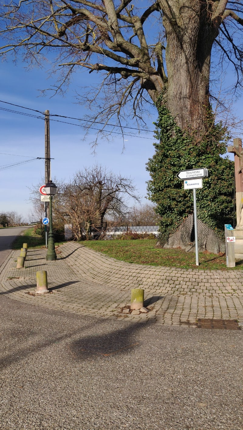 Weyersheim direction château d'eau, retour par Bietlenheim - Weyersheim