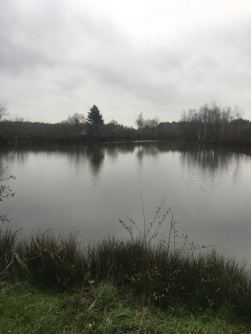 Autour du bourg de Crevin - Crevin
