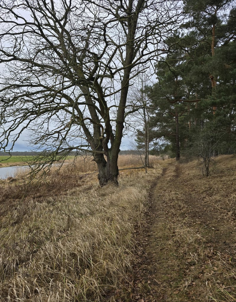 Czmoniec starorzecza - Czmoniec