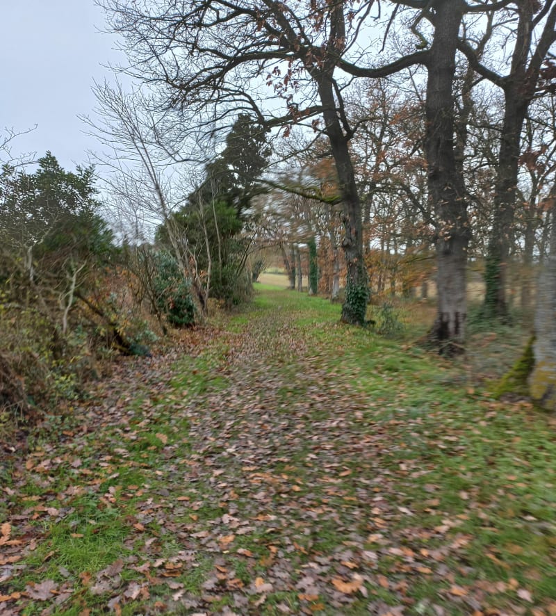 De la haie gourmandes à la forêt de Saint-Marcel-Paulel - Saint-Marcel-Paulel