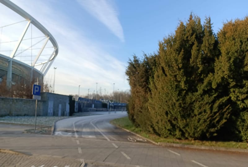Bieg Sylwestrowy w Parku Śląskim - Katowice