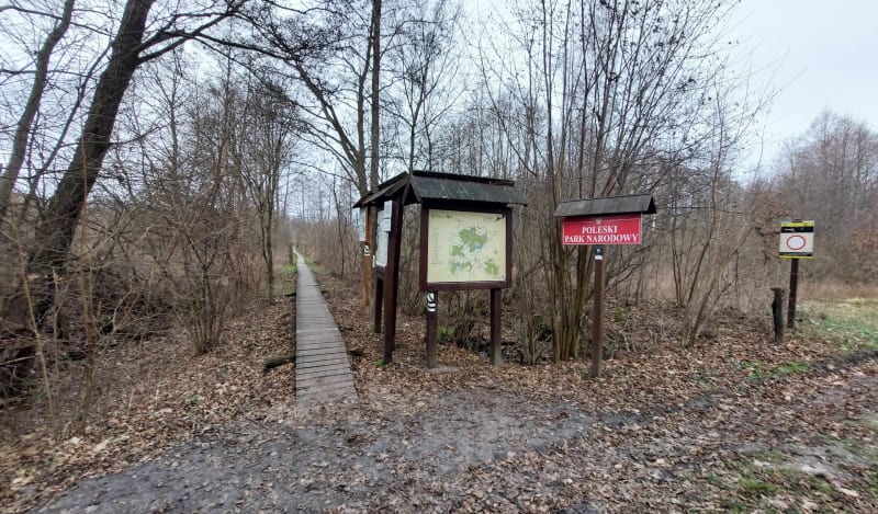 Ścieżka dydaktyczną "Spławy" w Poleskim Parku Narodowym - Stare Załucze