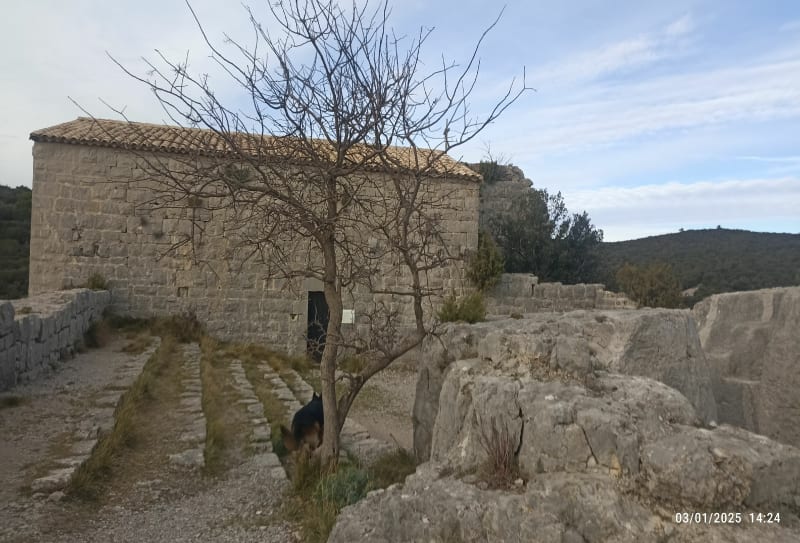 Rando Corconne - Corconne