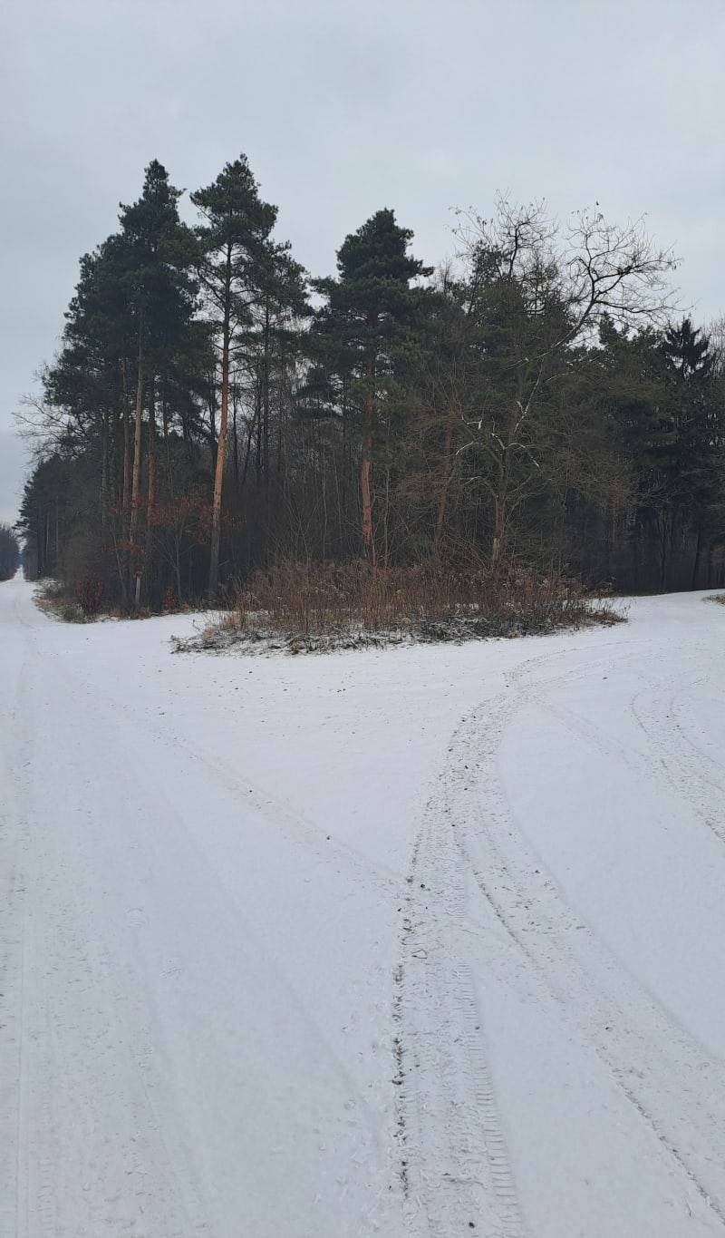Wymysłów-Osy - Wymysłów