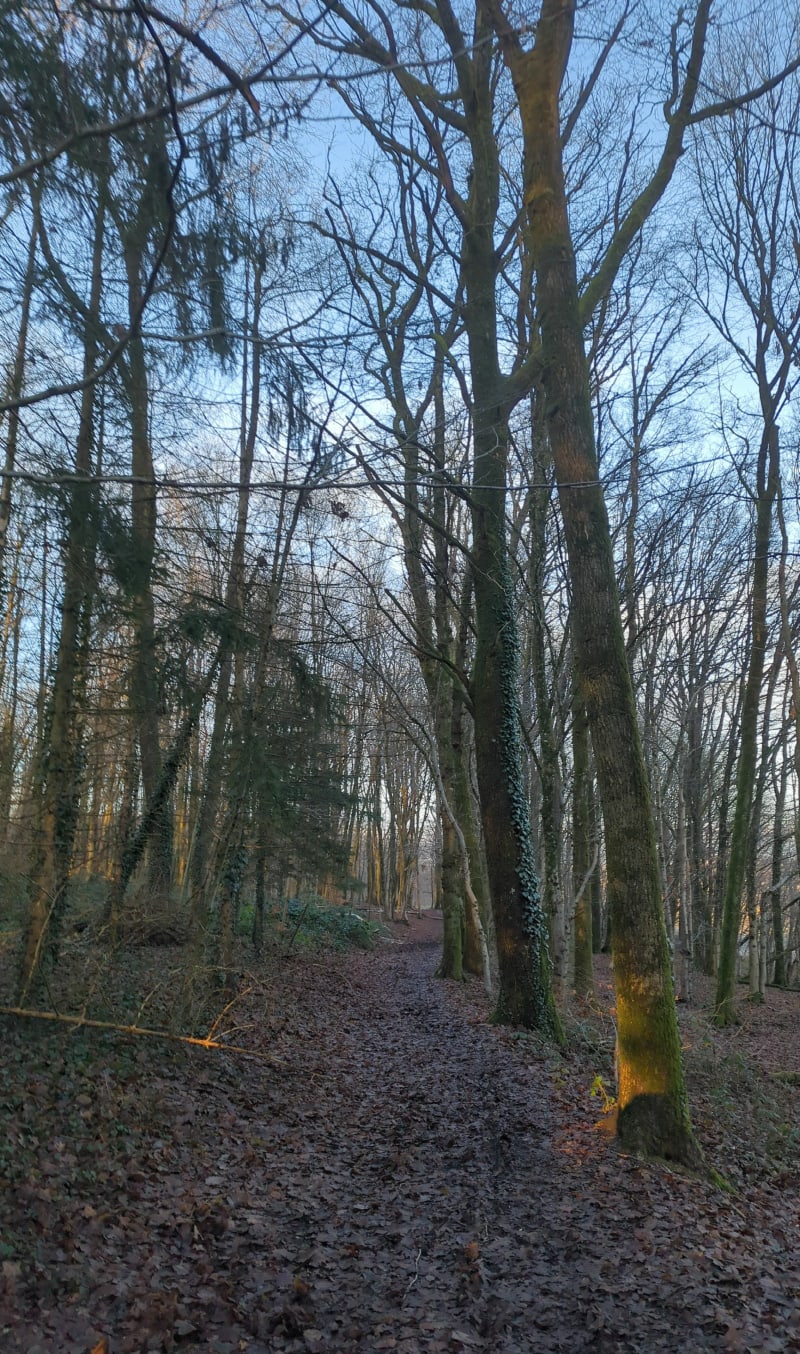 Marche en hauteur de Montcy-Notre-Dame - Charleville-Mézières