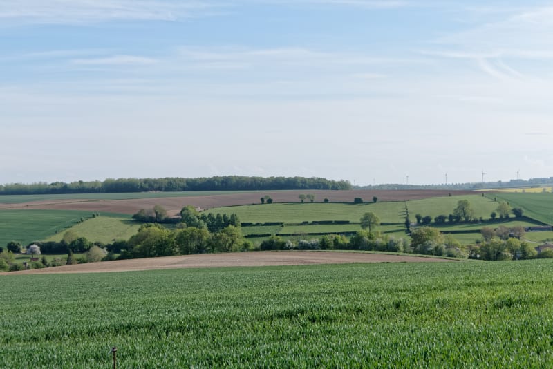 Petite boucle champêtre autour de Vieille-Chapelle - Vieille-Chapelle