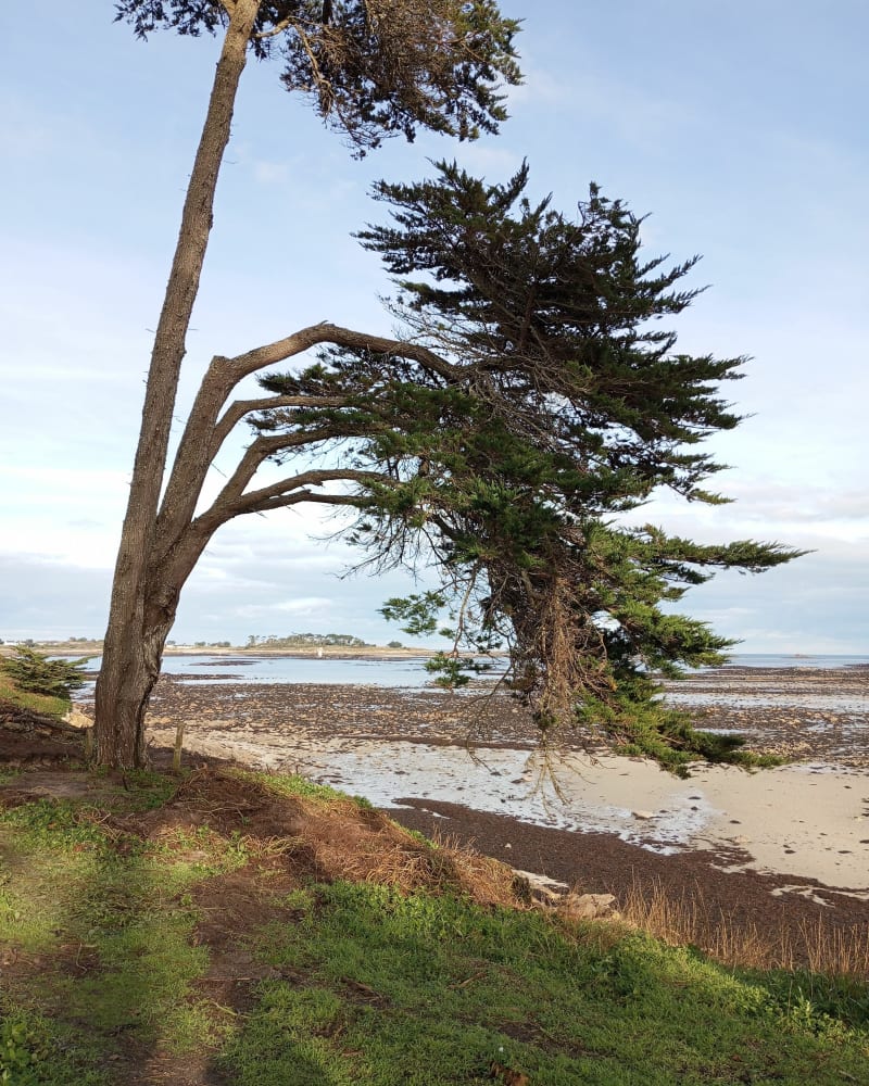 Rando de Perharidy à Roscoff - Roscoff