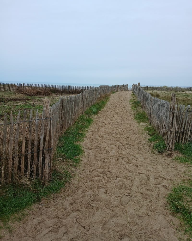 Balade sur la côte à Gouville-sur-Mer - Gouville-sur-Mer