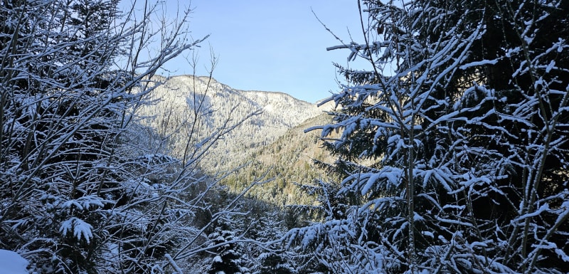 Vers Gaschneykopf - Stosswihr