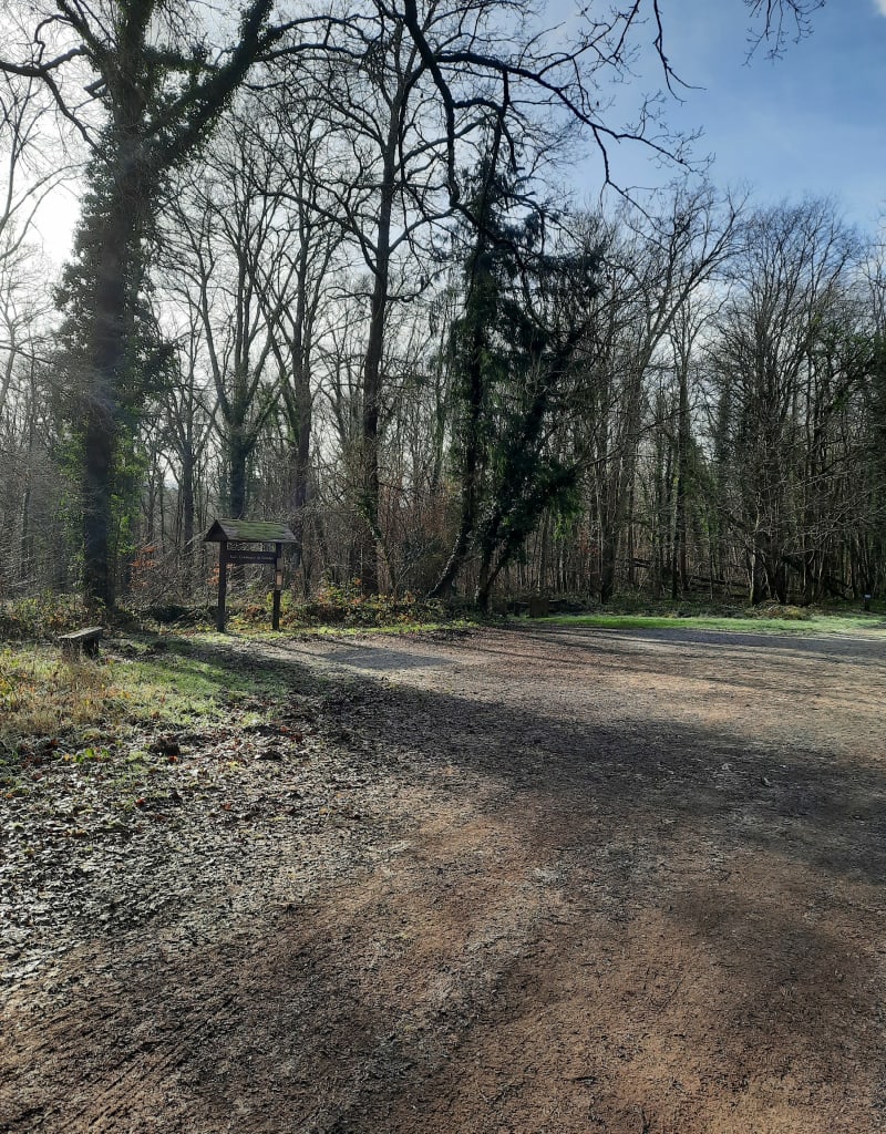 Forêt de Dourdan - Dourdan