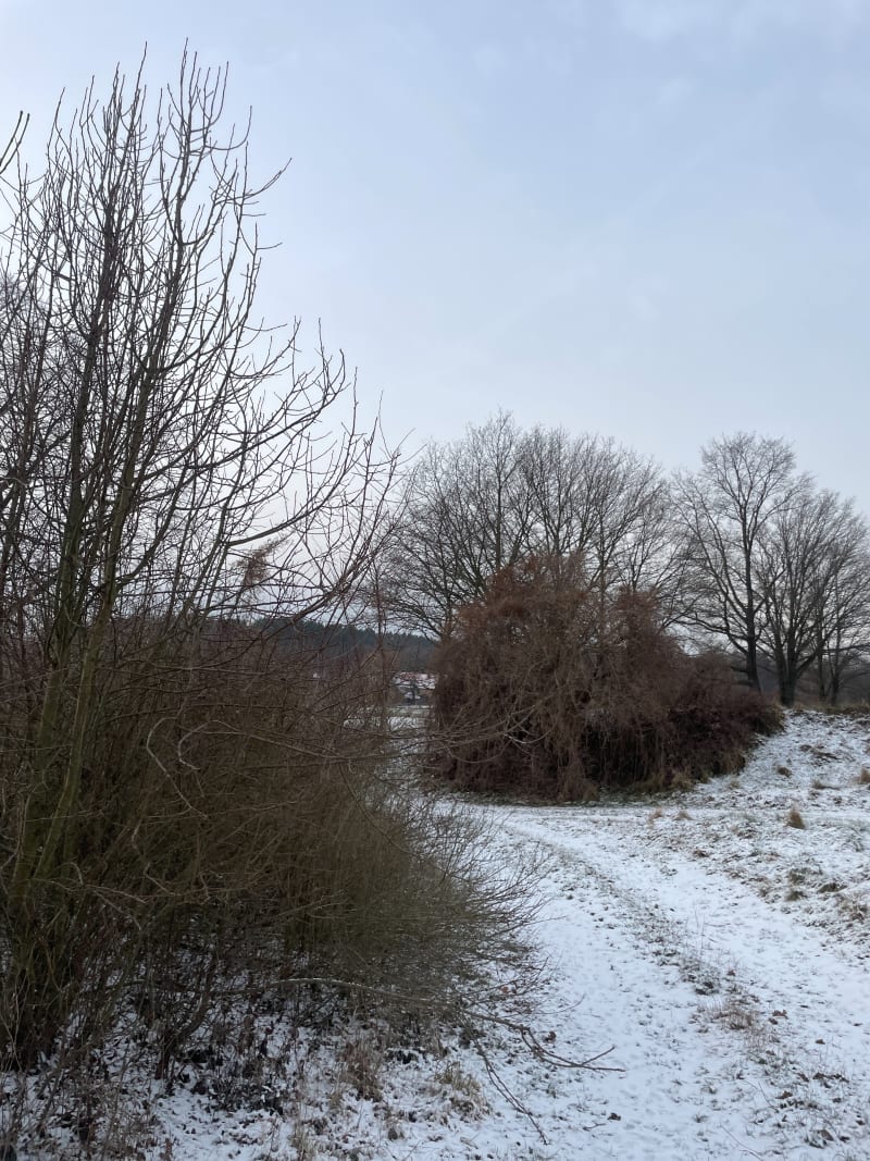 Dzień dobry w sobotę - Składowice