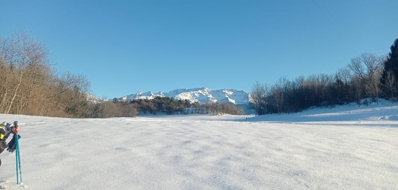 Boucle en forêt à Saint Hilaire du Touvet - Plateau-des-Petites-Roches