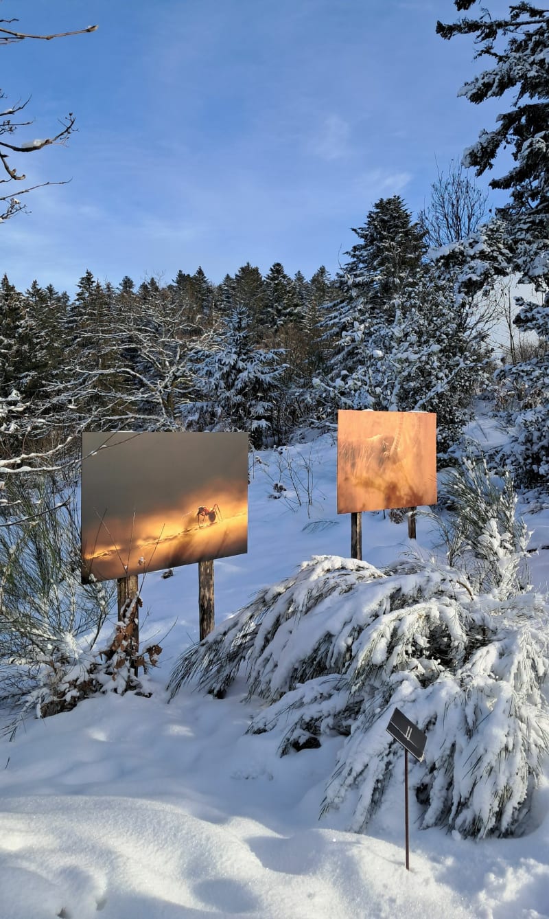 Sentier des photos Haut du Tôt - Vagney
