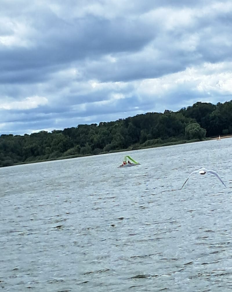 Boucle au Lac du Der - Giffaumont-Champaubert