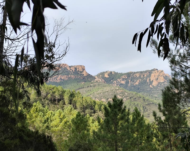 Les Suvières depuis le Trayas. - Saint-Raphaël