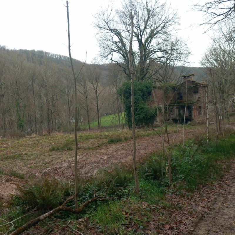 Boucle du côté de Fabas - Bellegarde-Marsal