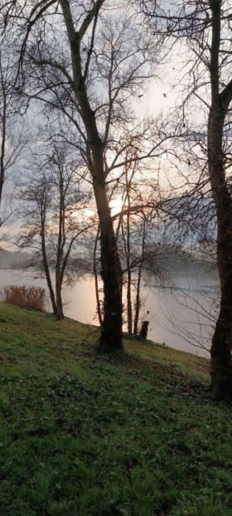 Hivernale des Lacs à Orthez - Orthez