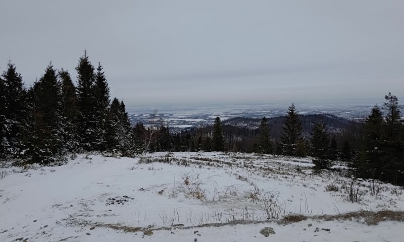 Błatnia szczyt - Brenna