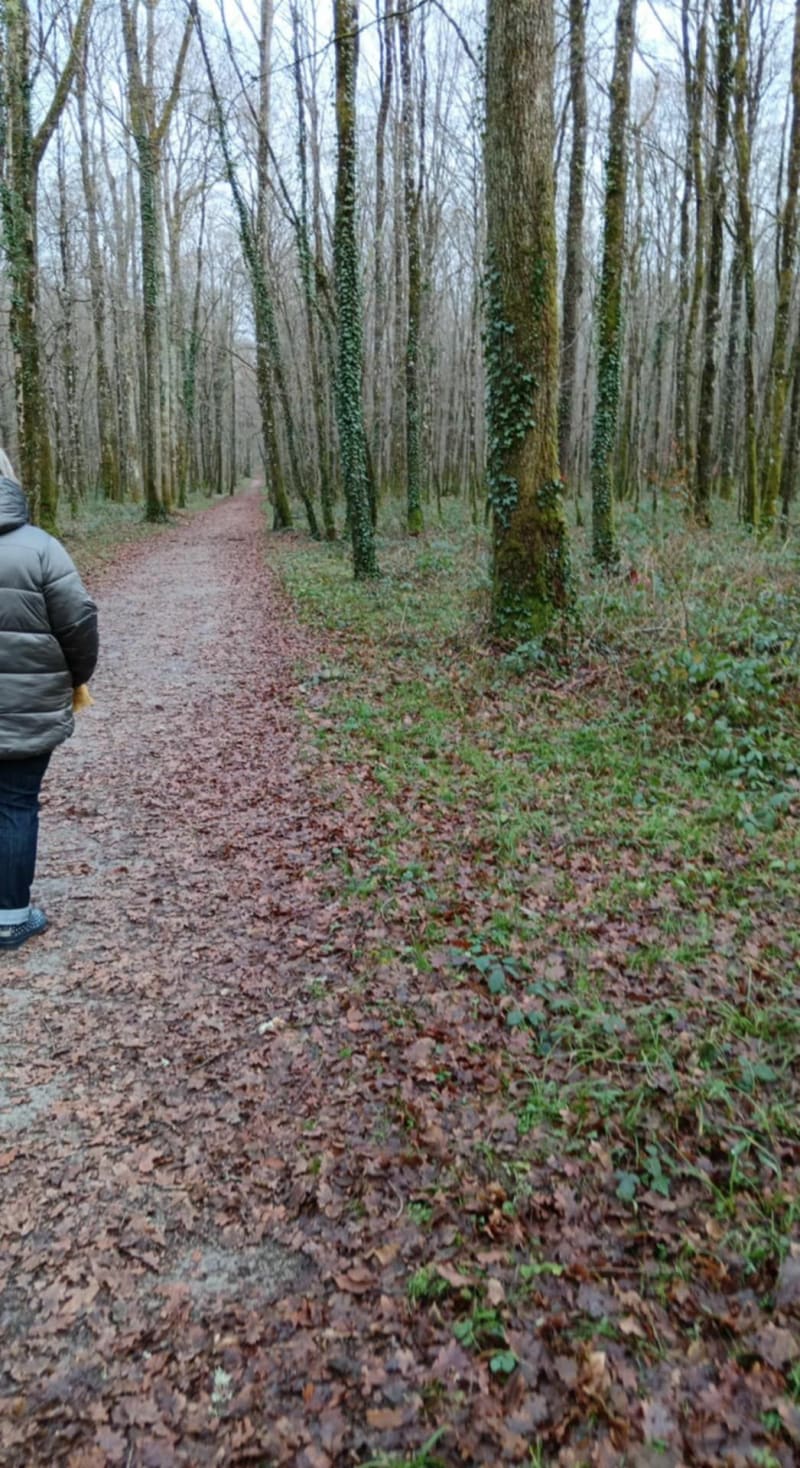 Aller-retour à Bertrange - Varennes-Vauzelles