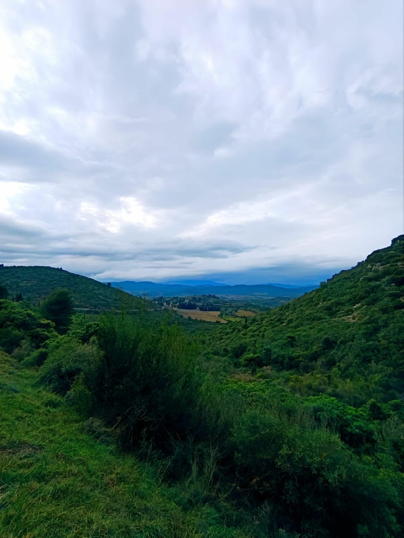 Pic du Pied du Poul - Fraissé-des-Corbières