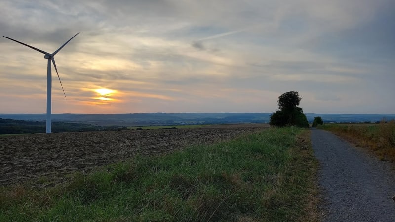 Forêt de Buchwald et Momerstroff - Boulay-Moselle