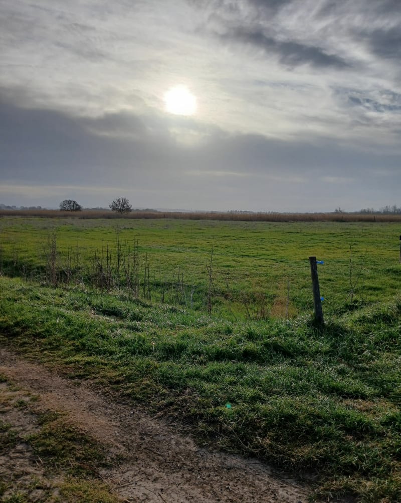 Autour de Capestang et canal du midi - Capestang