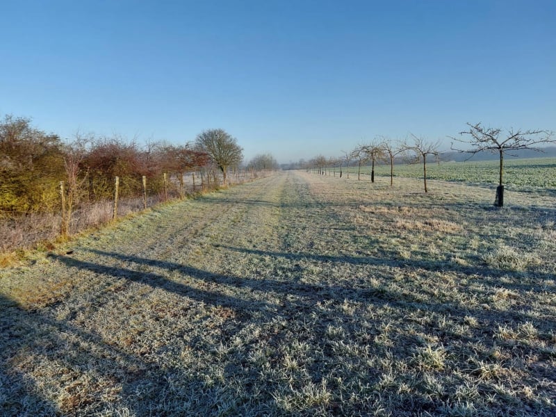 La Ferté-Alais et Bois du Gland - La Ferté-Alais