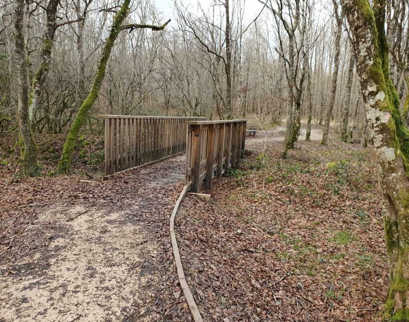 Promenade en forêt de Moulière et la Dune au Cocu - Montamisé
