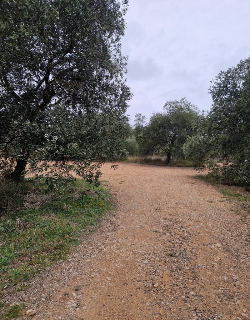 Petit tour dans les Garrigues de Florensac - Florensac