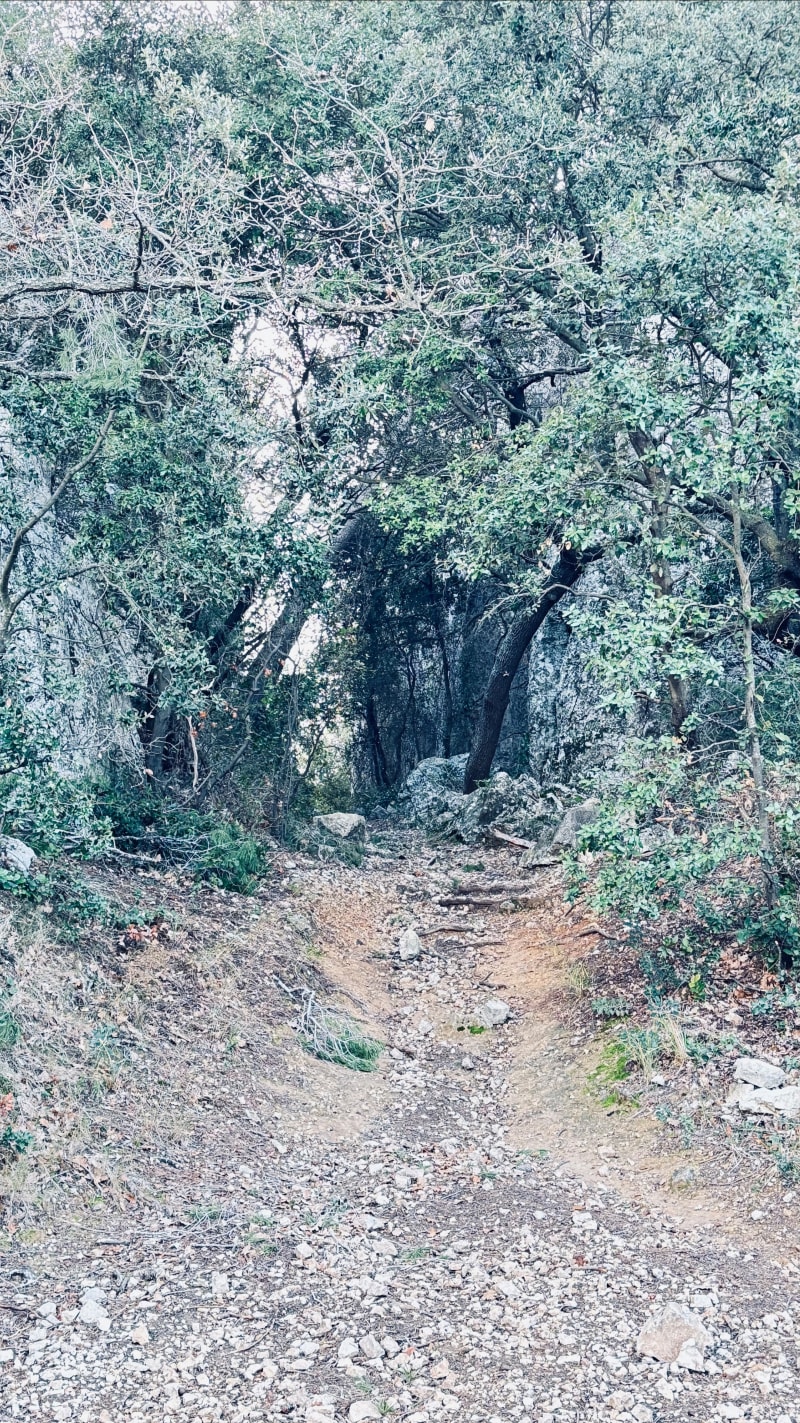 Sortie aux Gorges de la Petite Sainte-Baume à Roquefort - Roquefort-la-Bédoule
