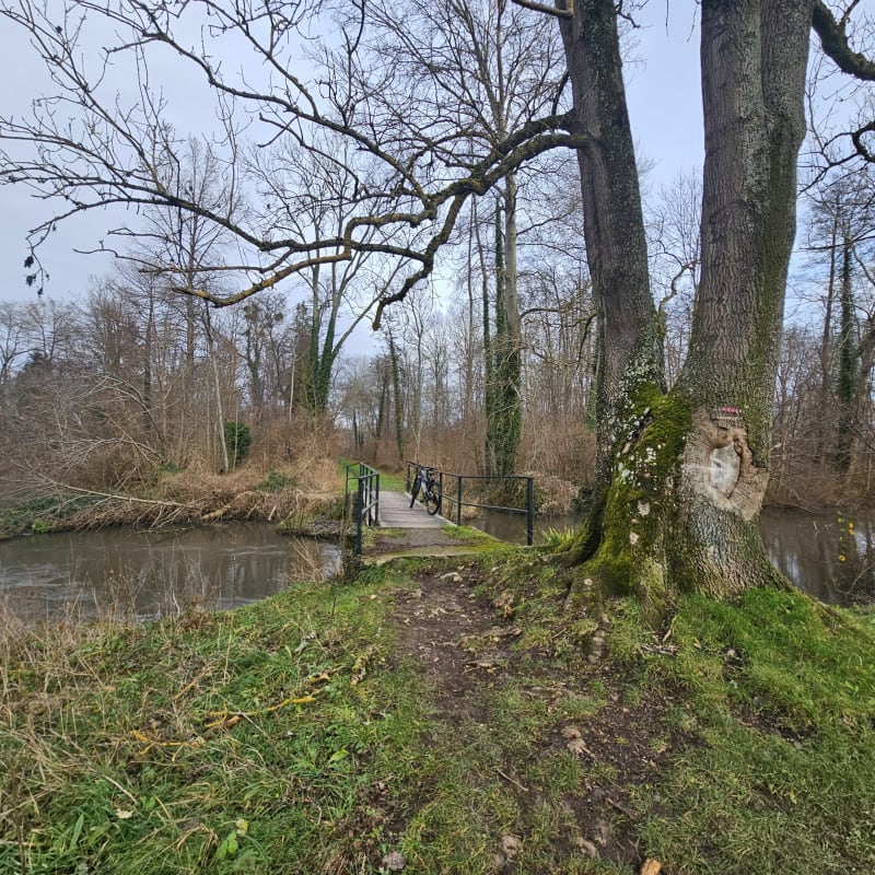 De Boigneville à Buthiers en A/R - Boigneville