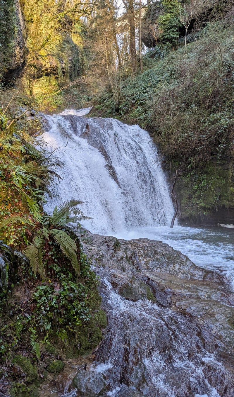 St Béron-La Bridoire : boucle des Copettes - Saint-Béron
