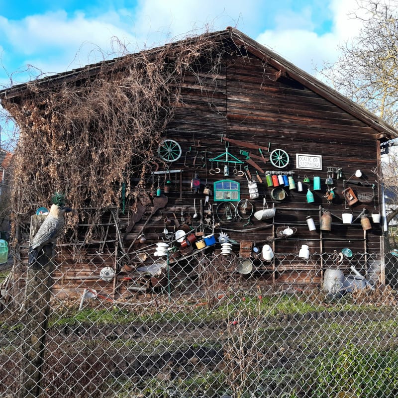 Doliną Dolnej Wisły i źródło św. Rocha - Topolno